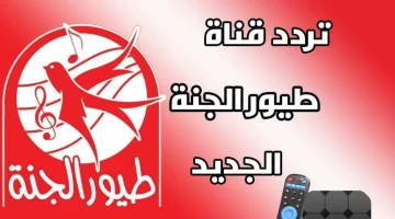 الان – فرحي أولادك واضبط.. تردد قناة طيور الجنة 2024 الجديد بجودة عالية بدون تشويش  – البوكس نيوز