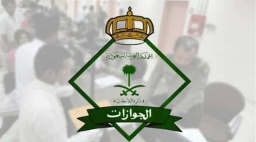 الان – “الإدارة العامة للجوازات” حقيقة تخفيض رسوم المرافقين 1446 .. وطريقة تسديد الرسوم عبر ابشر absher.sa – البوكس نيوز