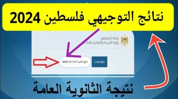 الان – لينك الاستعلام عن نتائج التوجيهي 2024 فلسطين برقم الجلوس عبر موقع وزارة التربية والتعليم العالي – البوكس نيوز