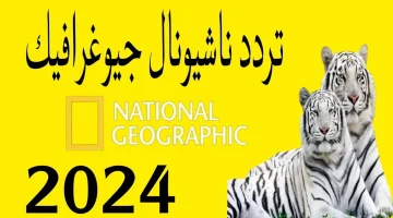 الان – “استمتع بأعلى جودة”.. استقبل الان تردد قناة ناشيونال جيوغرافيك 2024 National Geographic – البوكس نيوز