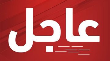 عاجل.. القوات الجنوبية تنعي شهداء الهجوم الإرهابي بمودية وتتوعد بالانتقام