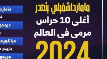 رياضة – أعلى 10 حراس مرمى قيمة تسويقية فى العالم.. إنفوجراف