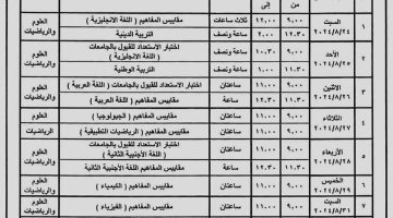 الان – انطلاق امتحانات الثانوية العامة 2024 الدور الثاني في 22 لجنة بالجيزة – البوكس نيوز