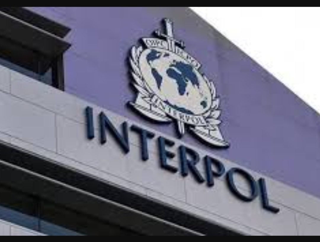 معلومات مهمّة لا تعرفها عن منظمة الإنتربول INTERPOL