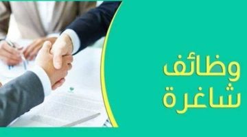 الشباب والرياضة توفر وظائف شاغرة.. التخصصات والمميزات والشروط المطلوبة