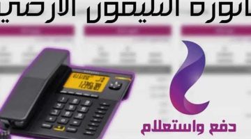 الان – الاستعلام عن فواتير التليفون الأرضي بالاسم والرقم.. دفع فاتورة التليفون الأرضي – البوكس نيوز