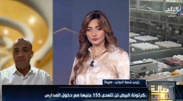 مع بدء الدراسة.. شعبة الدواجن تكشف عن سعر كرتونة البيض «فيديو»