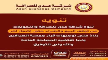 خبير اقتصادي يحذر من تداعيات قرار شركات الصرافة إيقاف بيع وشراء العملات الأجنبية في العاصمة عدن