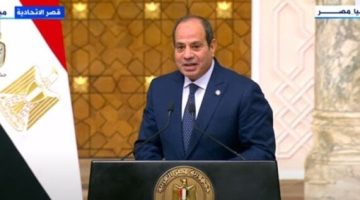 الرئيس السيسي: لدينا حجم ضخم من الشركات تتبادل الخبرة مع الجزائر