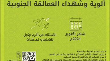 الإعلان عن بدء صرف مرتبات ألوية وشهداء العمالقة الجنوبية لشهر أكتوبر 2024