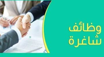 رواتب مجزية وتأمينات.. الشباب والرياضة تعلن عن وظائف خالية