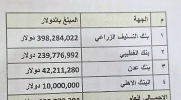 فوضى الإيرادات.. مؤسسات حكومية ترفض التوريد للمركزي والعملة الصعبة تغادر عبر المطار